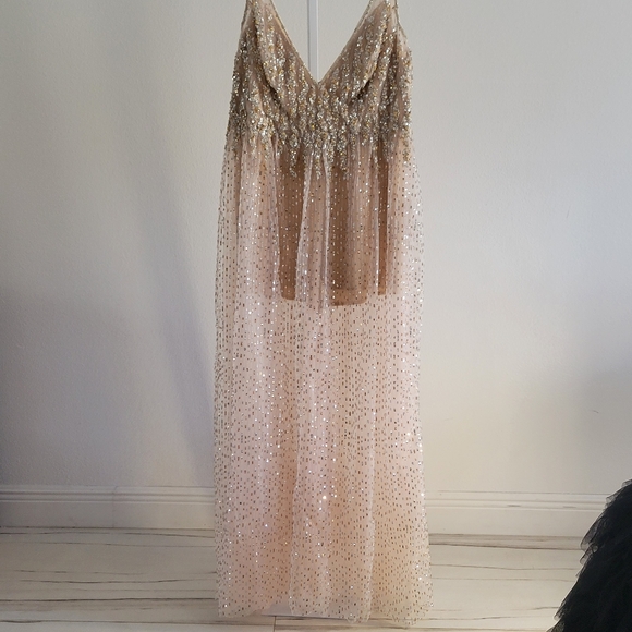 Sequin Embellished Fabric - Picture 4 of 5